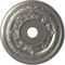 Ekena Millwork Baltimore Thermoformed PVC Ceiling Medallion Fits Canopies up to 7 3/4-in., Aged Dark Steel CMP22BACST - alternate 1